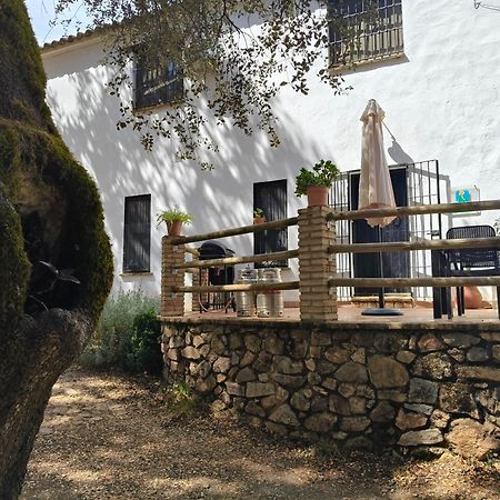 Casa Rural Alicia 꼬르떼가나 외부 사진