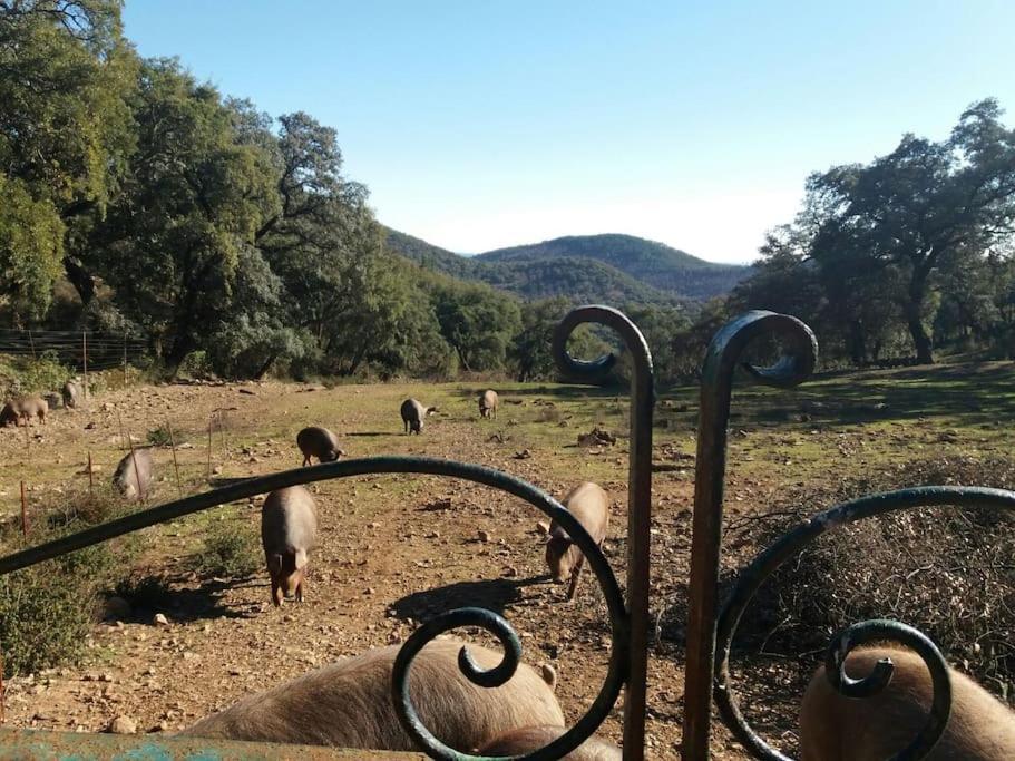 Casa Rural Alicia 꼬르떼가나 외부 사진