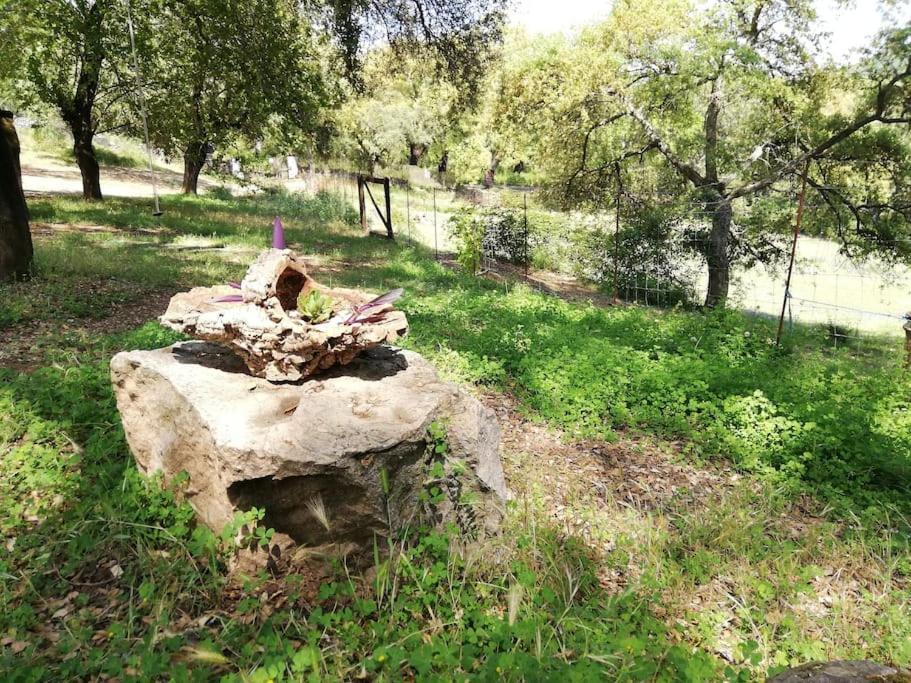 Casa Rural Alicia 꼬르떼가나 외부 사진